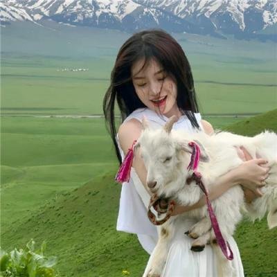 约翰老鼠 海报